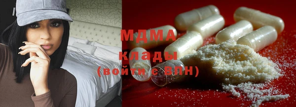 хмурый Алексин