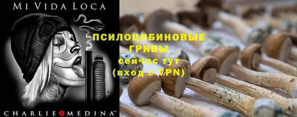 прущие крисы Алексеевка