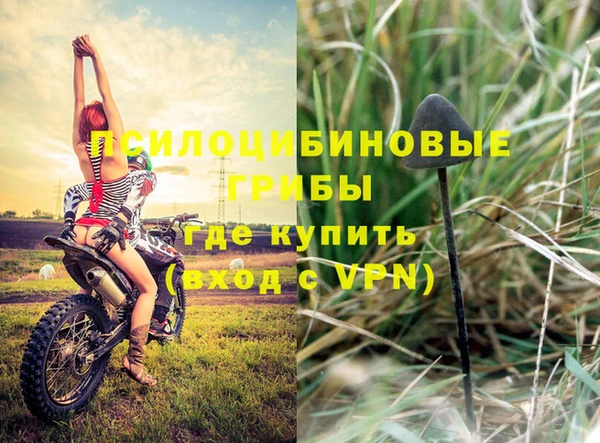 каннабис Алзамай