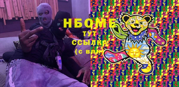 хмурый Алексин