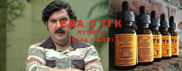 хмурый Алексин