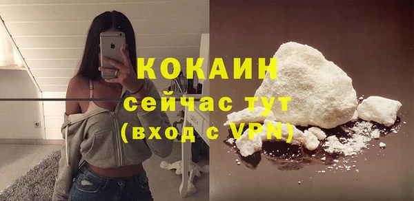 хмурый Алексин