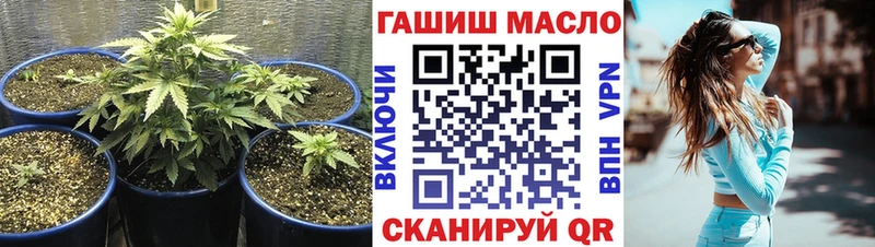 ТГК гашишное масло  Купить закладки  Челябинск 